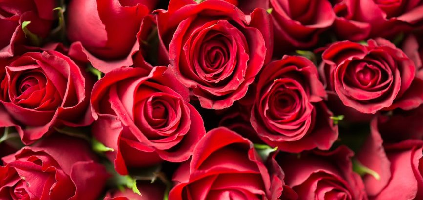 De ultieme gids voor een romantische getaway met Valentijnsdag: Verzekerd van liefde